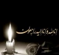 همکار گرامی جناب آقای سعید نهائی